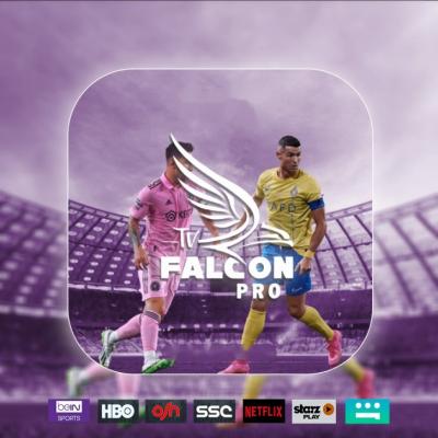 اشتراك فالكون 3 شهور