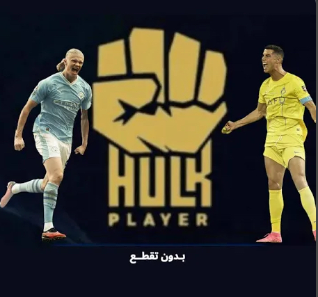 اشتراك هولك سنه